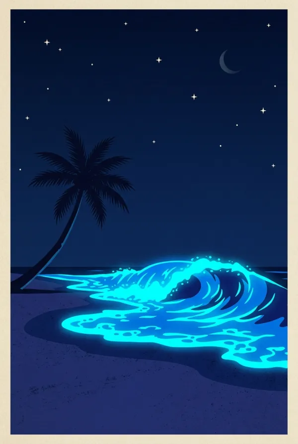 Visit Vaadhoo Island in the Maldives to see the bioluminescent beaches.