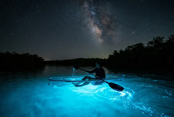 Visit Bioluminescent Bay in Vieques, Puerto Rico.