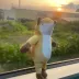 陳狐狸