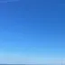 はと